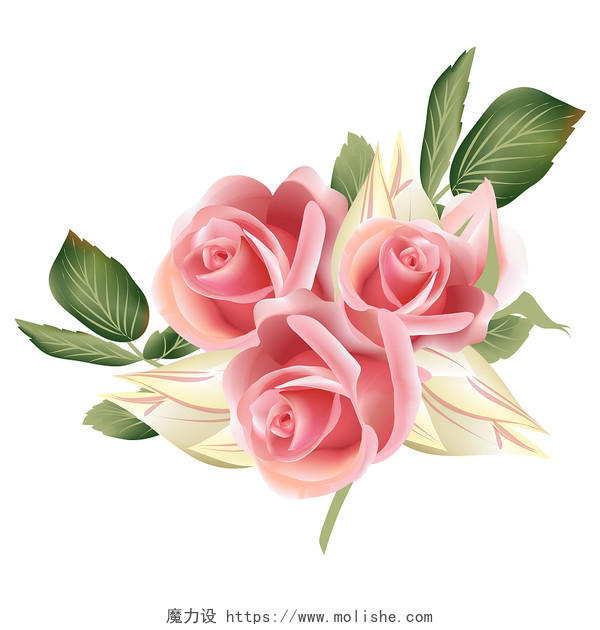 手绘玫瑰花素材520情人节表白元素